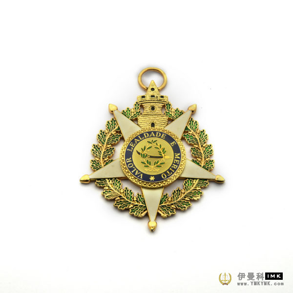Military Force Badge Badge 图2张